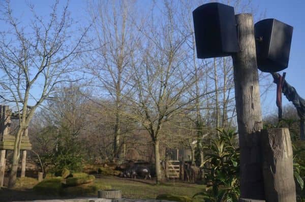 London Zoo – Intelligent Audio Across Animal Habitats