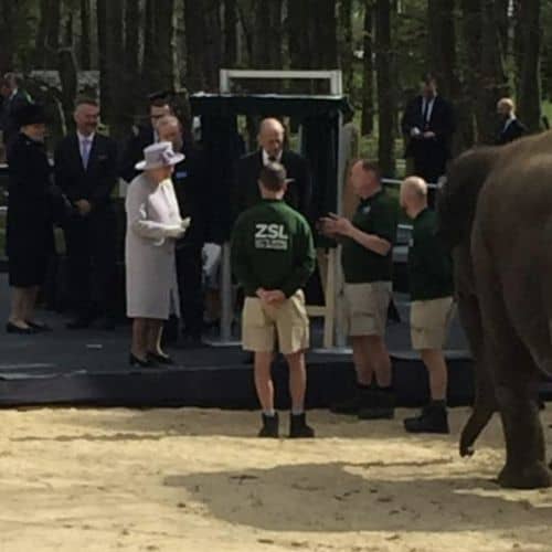 ZSL Whipsnade Zoo – Royal Unveiling of the Elephant Centre